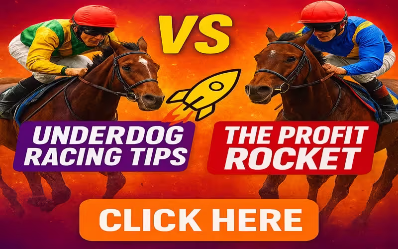 Underdog-vs-ProfitRocket-4.avif