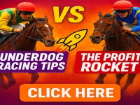 Underdog-vs-ProfitRocket-4.avif