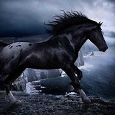 the-dark-horse-T31w0Gfn1.jpg